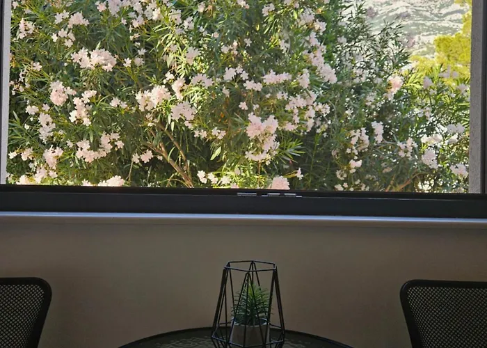 Laurus Apartament *