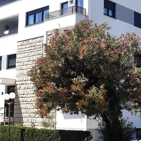 Laurus * Makarska